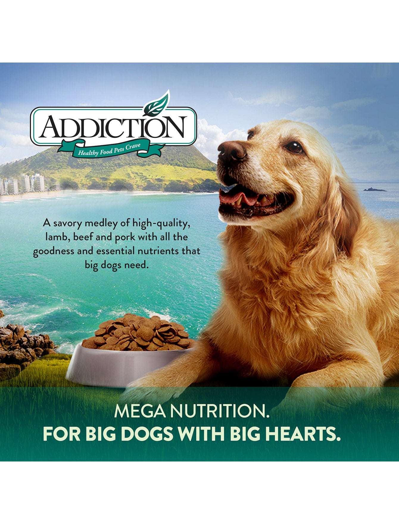 Addiction Dog 20kg Mega Adult Large Breed Dry Dog Food image 4