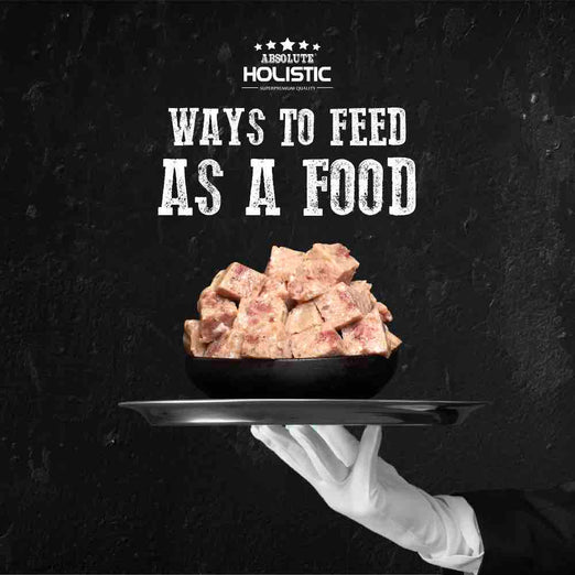 Absolute Holistic Dog 100g Complete & Balanced Meaty Loaf Pork Wet Tray Dog Food image 5