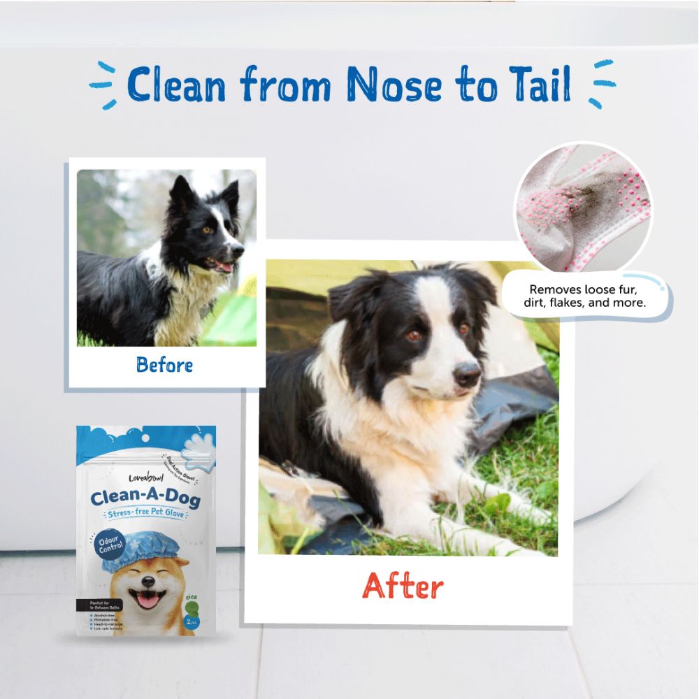 Loveabowl Dog Clean-A-Dog 10pcs Original Cica Pet Glove image 4