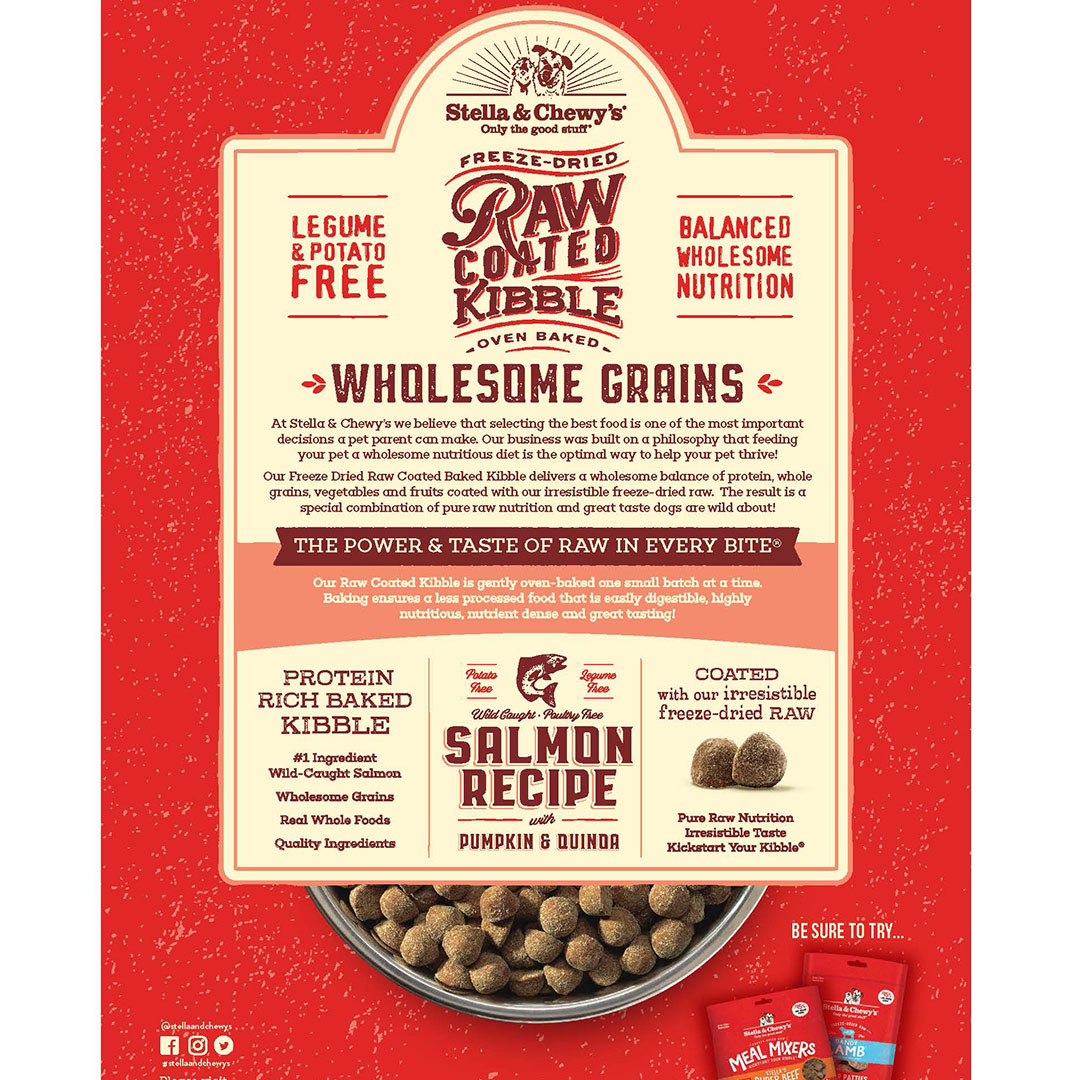 Stella & Chewy's Dog 10kg (22lb) Wholesome Grains Raw Coated Kibble (Salmon) Dry Dog Food image 2