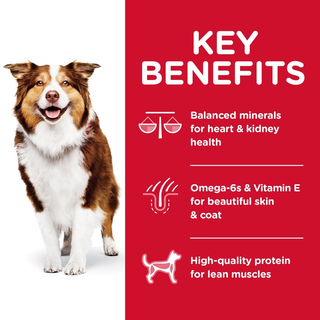 Hill's Science Diet Canine Adult 7+ Chicken Meal, Barley & Rice Recipe 3kg Dry Dog Food image 3