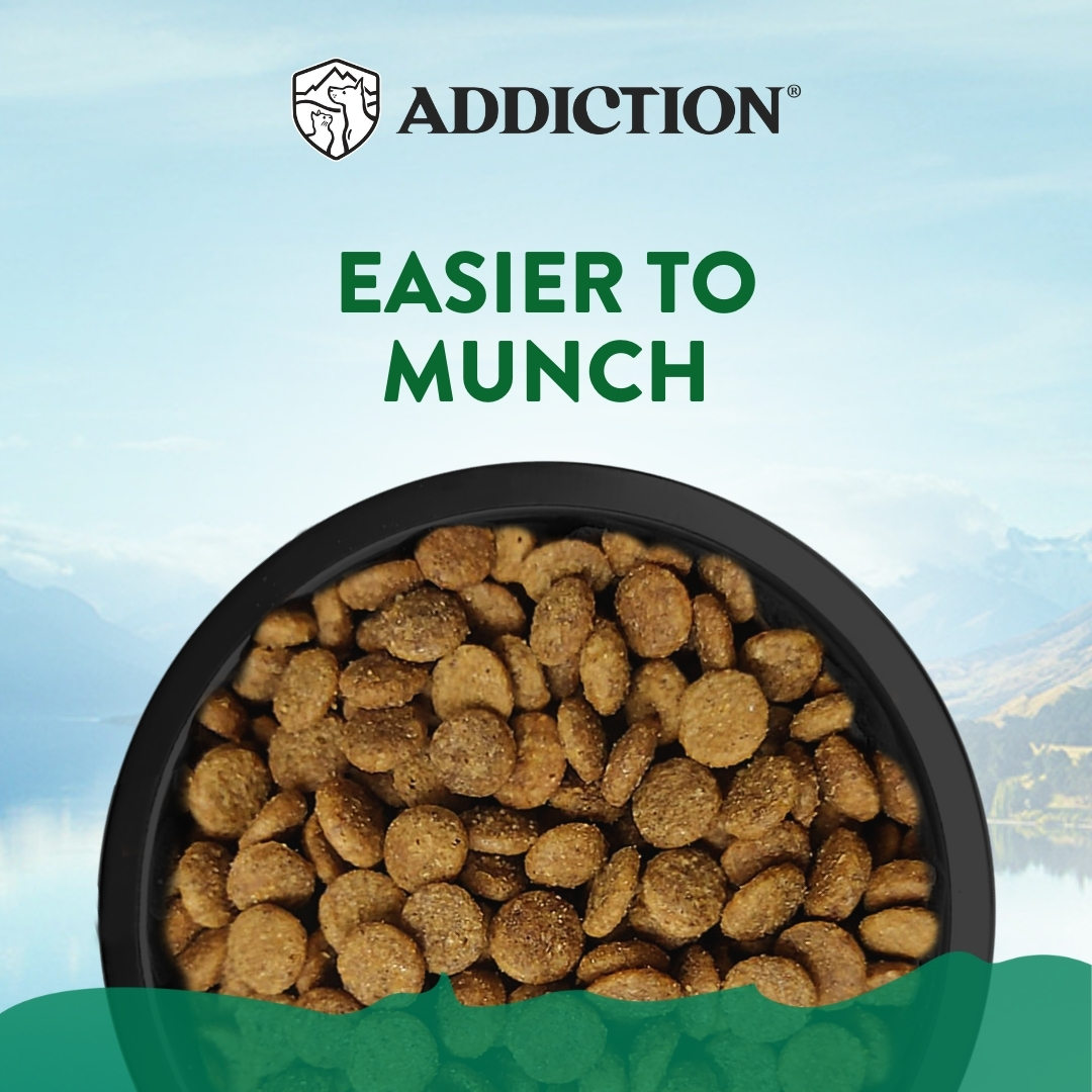 Addiction Dog 1.5kg Small Breed Le Lamb Dry Dog Food image 5