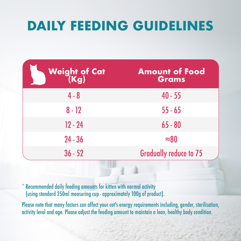 PURINA ONE Cat 380g Healthy Kitten with Chicken Dry Cat Food image 8