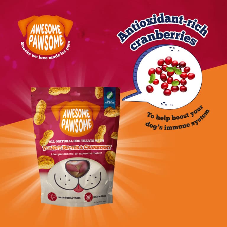 Awesome Pawsome 85g Grain Free Peanut Butter & Cranberry Dog Treat image 4