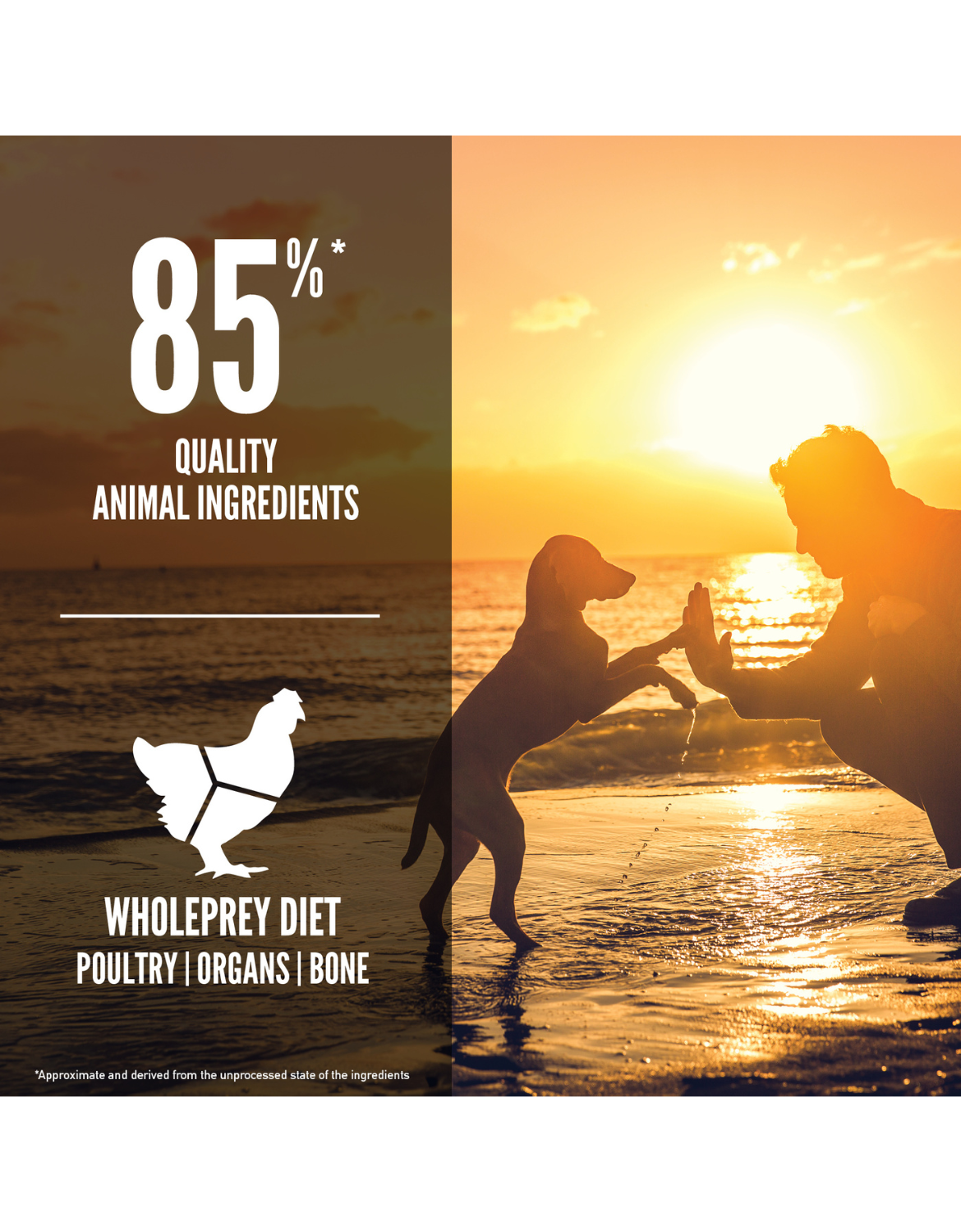 Orijen Dog 340g Puppy Dry Dog Food image 3
