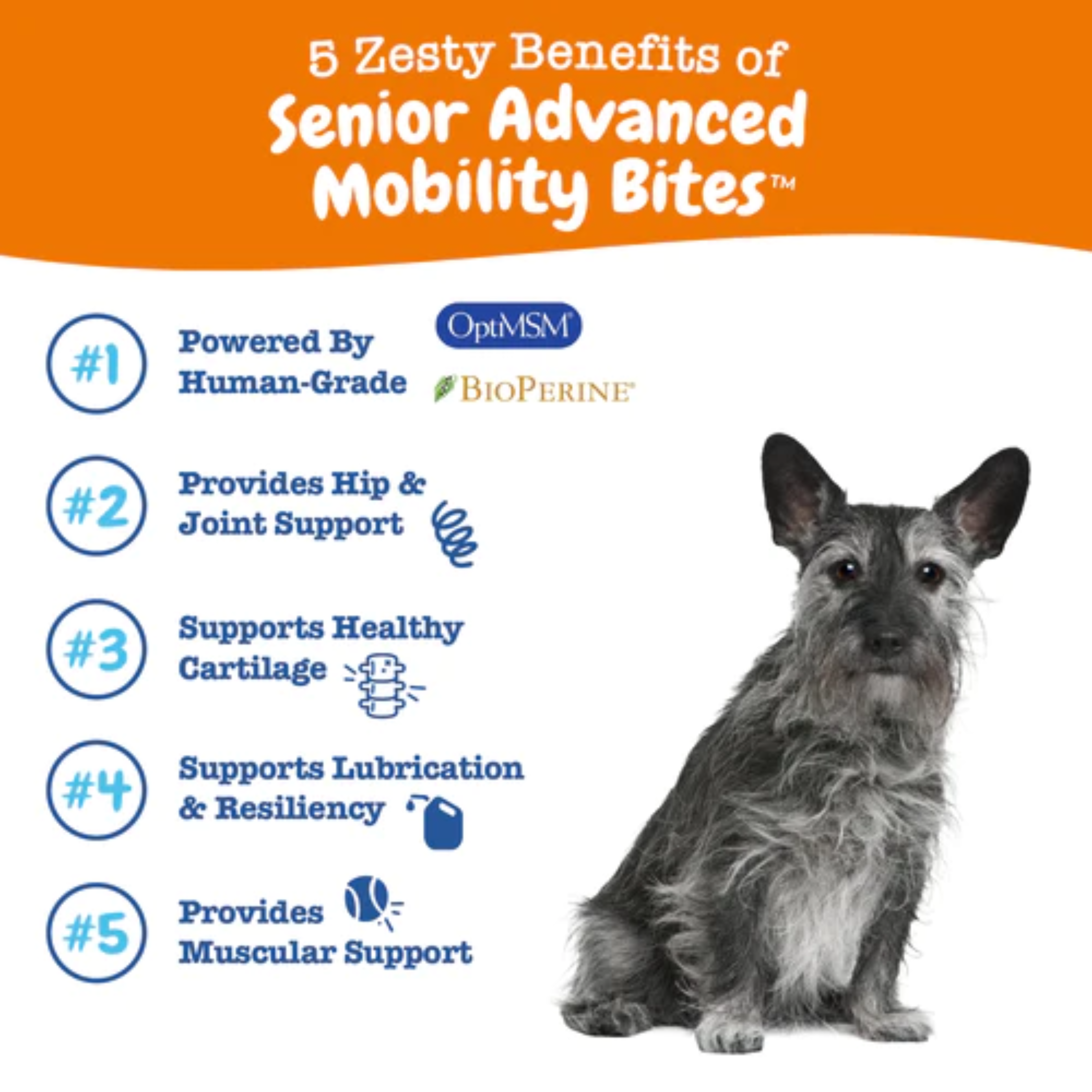 Zesty Paws 90ct Senior Advanced Mobility Bites Supplement for Senior Dogs image 4