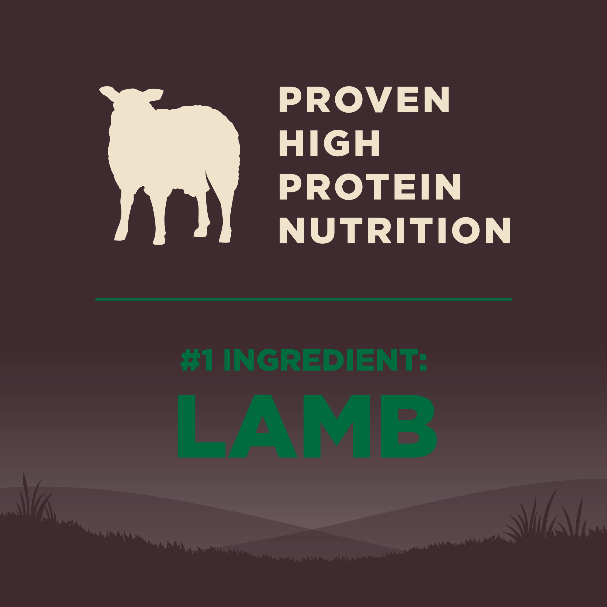 Wellness CORE Dog 1.8kg (4lb) Grain Free Lamb Dry Dog Food image 5