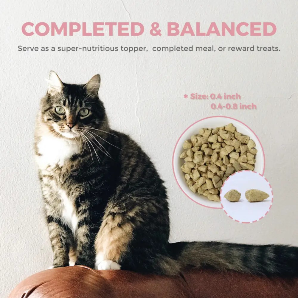 Furry Wonder IMMUNE BOOST Freeze-dried Raw Turkey & Chicken Recipe For Cats 8oz (226g) image 4