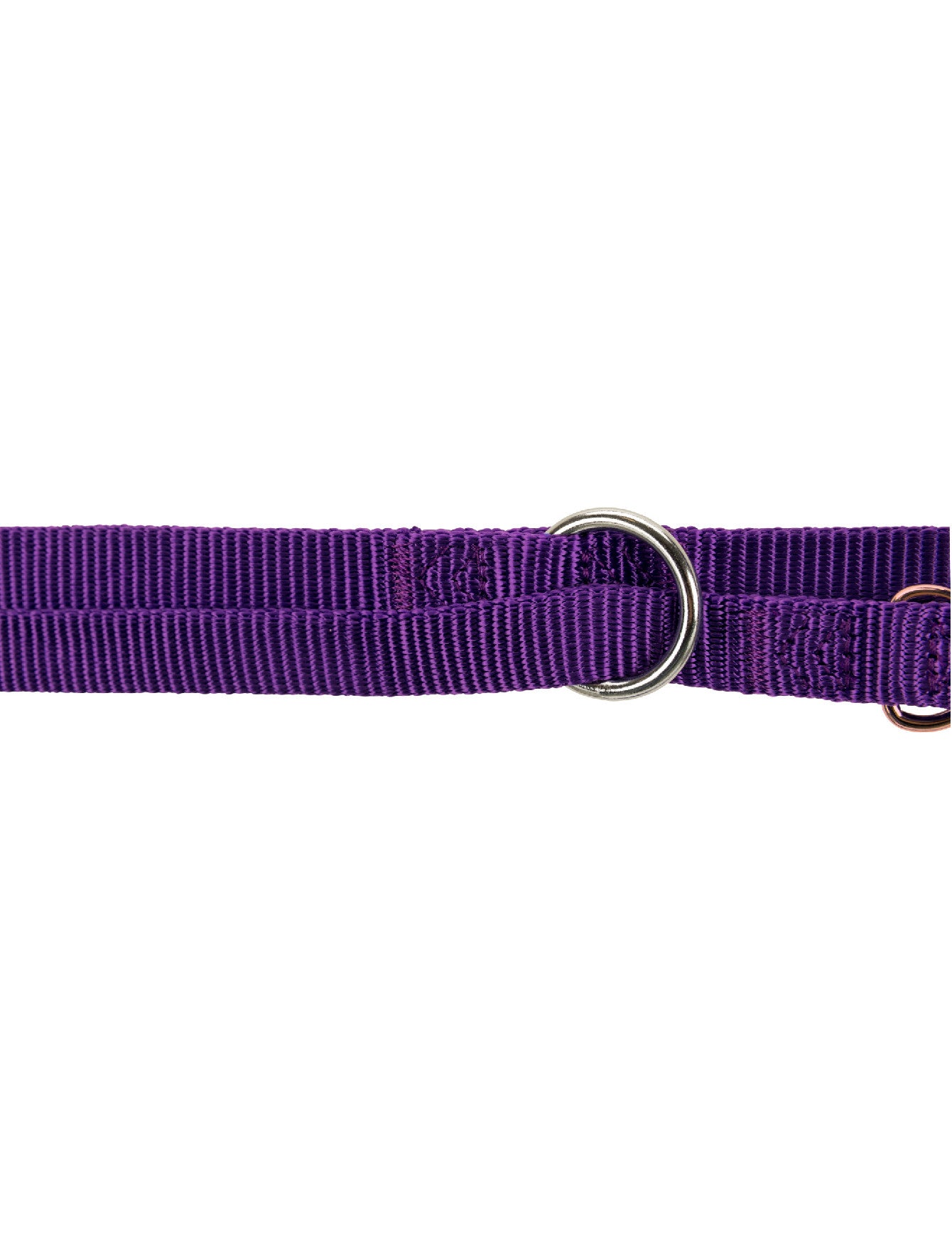Trixie Premium adjustable leash for Dogs - Violet XS-S image 4