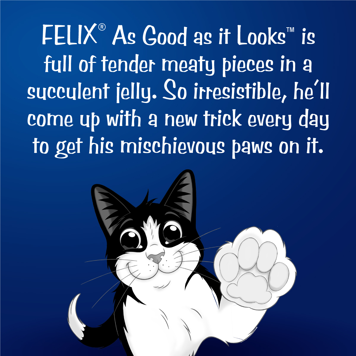 Felix Cat 85g Adult Chicken in Jelly Pouch Wet Cat Food image 2