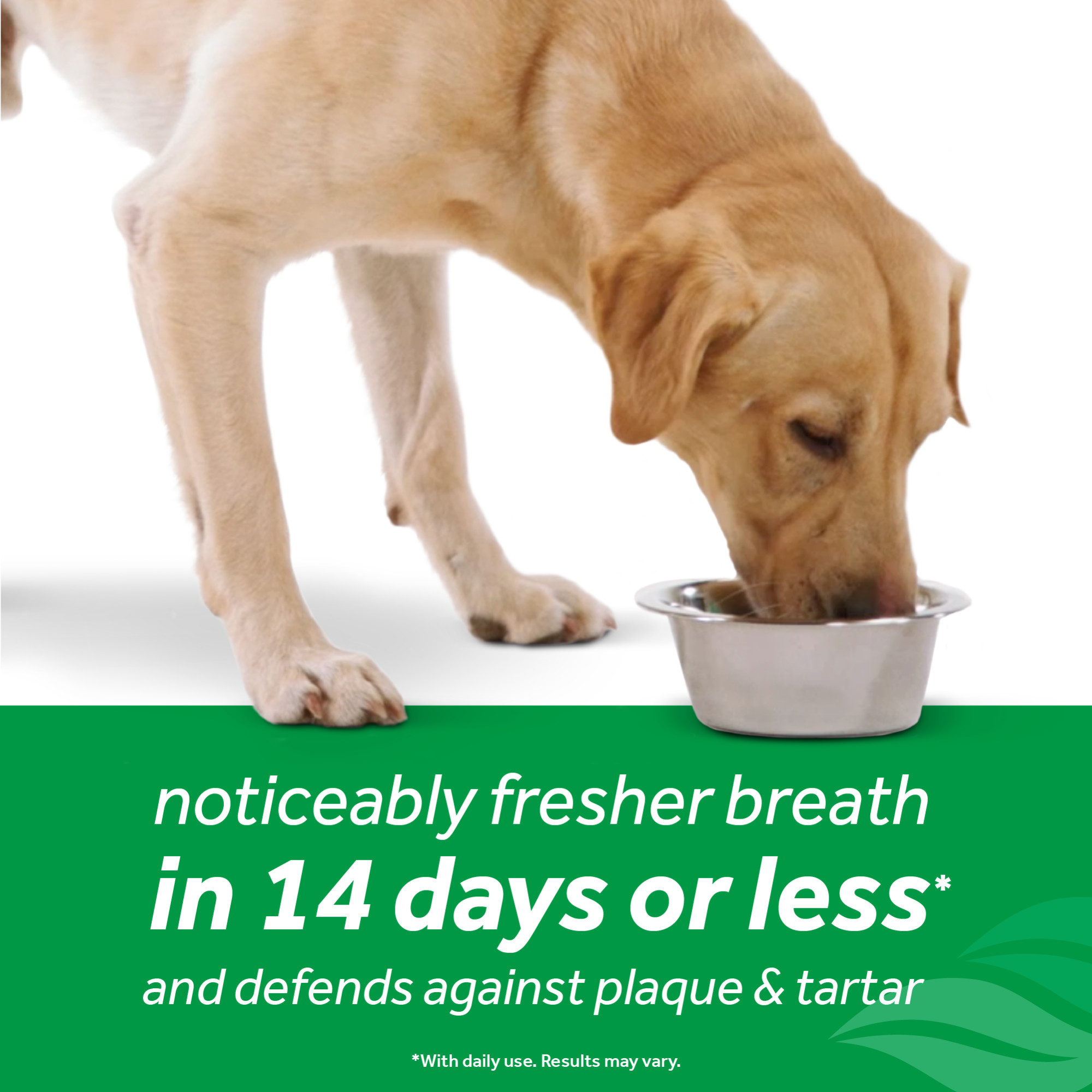 Tropiclean Fresh Breath Dog Dental Health Solution 473ml Supports Skin Health image 5