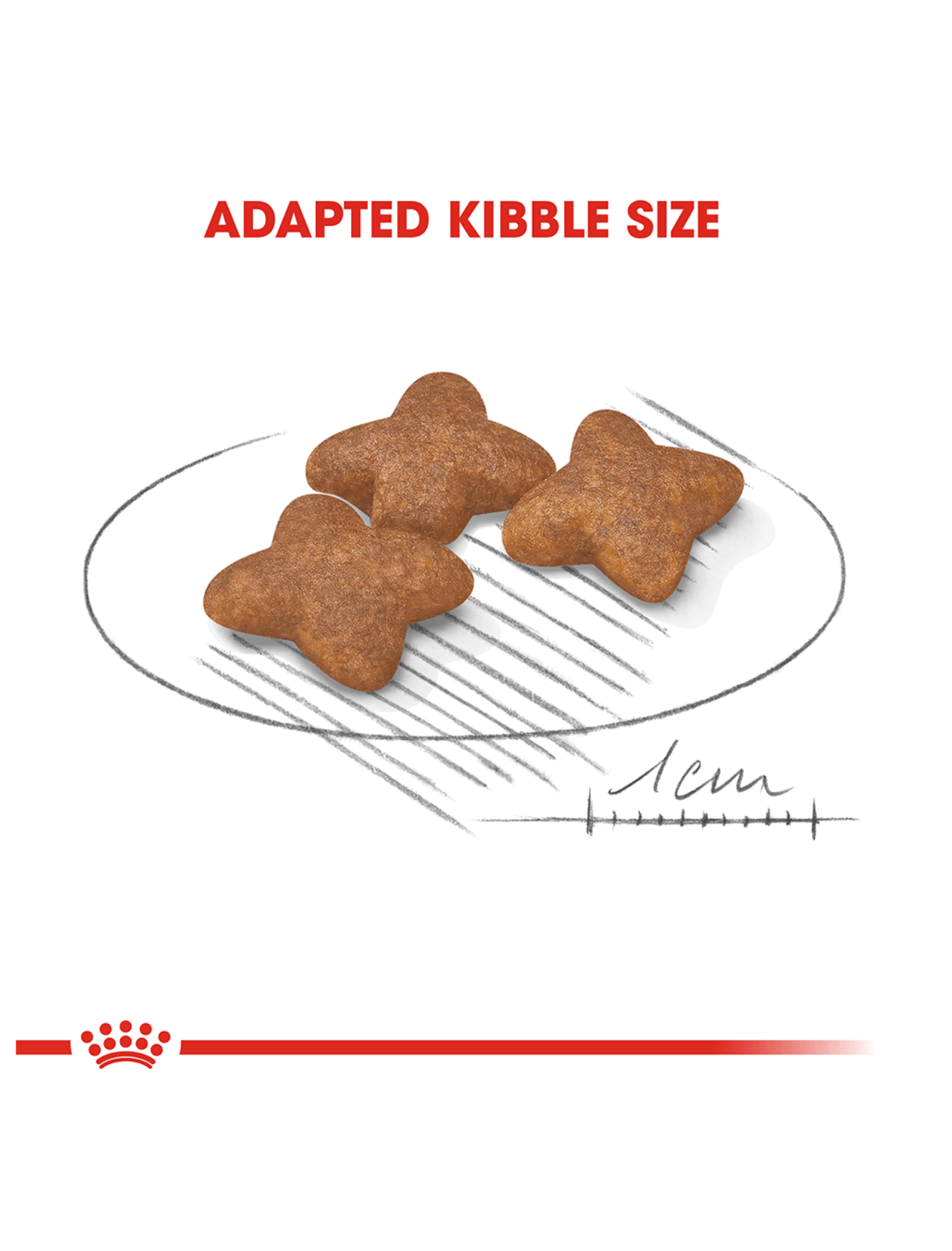Royal Canin Dog 8kg Mini Adult Dry Dog Food image 5