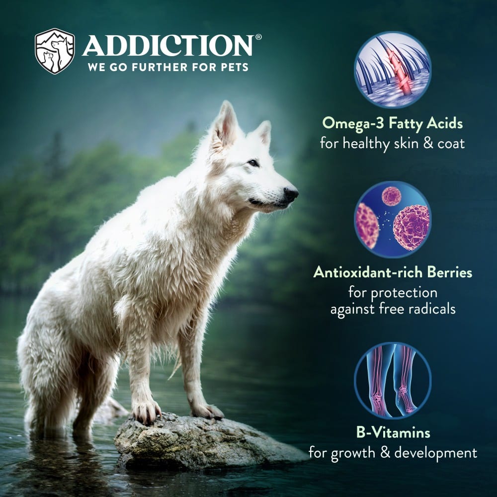 Addiction Dog 9kg Grain Free Salmon Bleu Dry Dog Food image 4