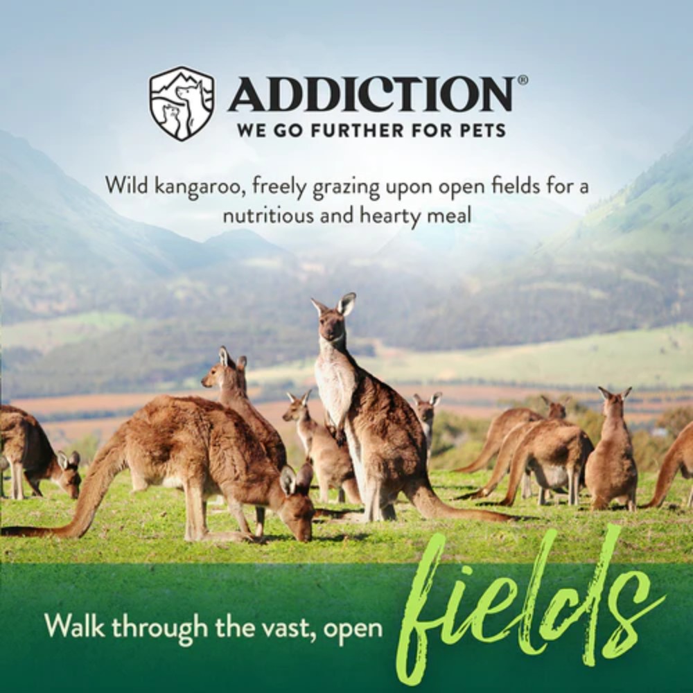 Addiction Dog 9kg Grain Free Wild Kangaroo & Apples Dry Dog Food image 3
