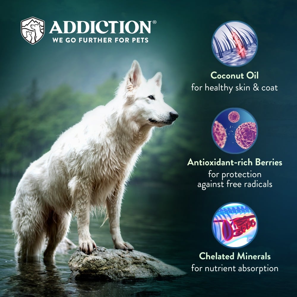 Addiction Dog 1.8kg Grain Free Wild Kangaroo & Apples Dry Dog Food (EXP: 22 Sep 2026) image 4