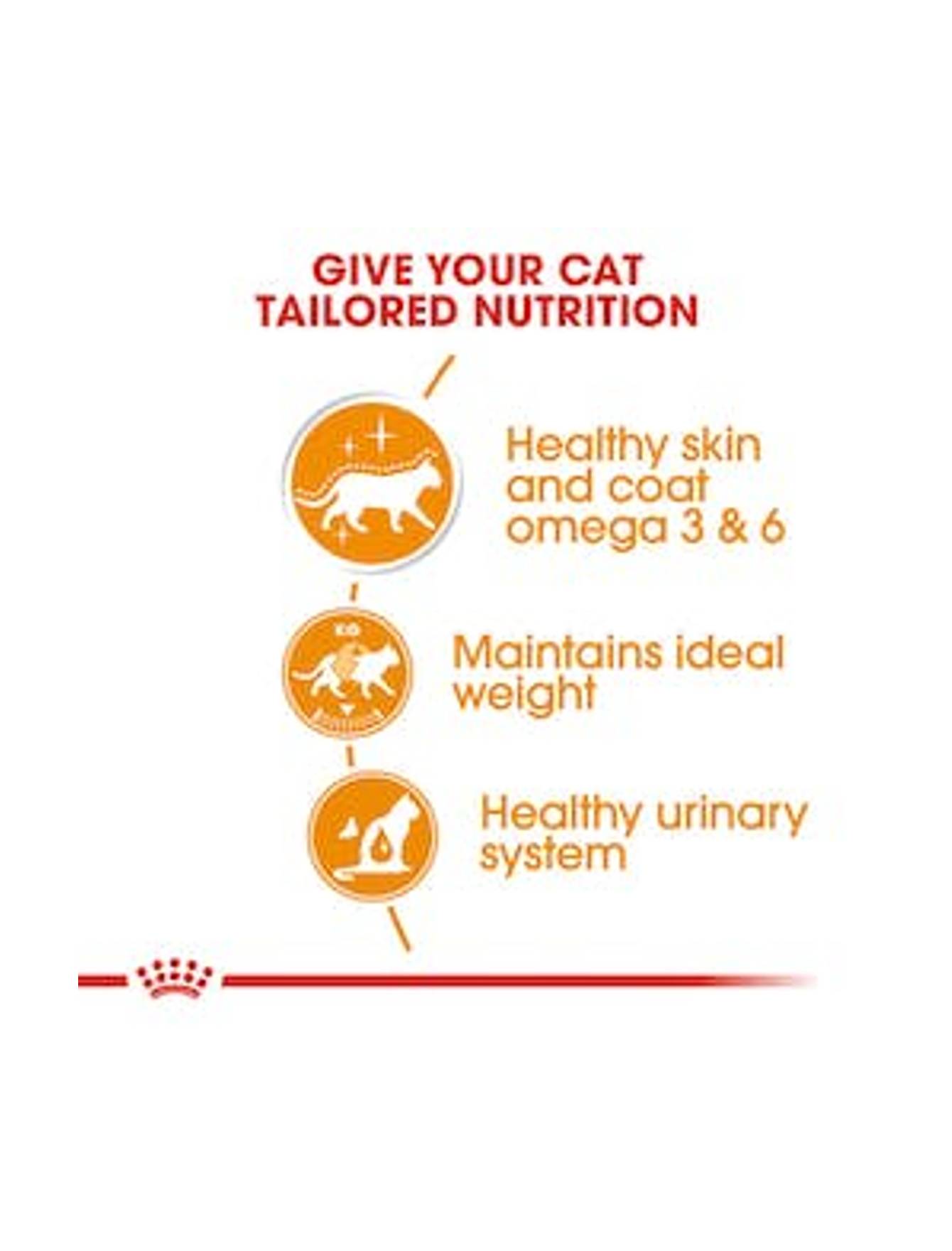 Royal Canin Cat 85g Intense Beauty Gravy Wet Cat Food image 5