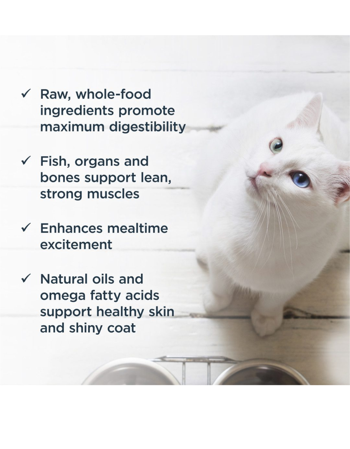 Instinct Freeze Dried Raw Meal Cat 9oz Grain Free Pollock MSC Recipe Cat Meal image 4