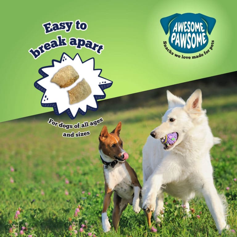 Awesome Pawsome 85g Grain Free Chicken Dumpling Dog Treat image 3