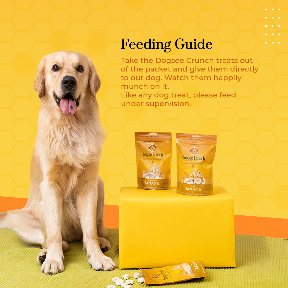 Dogsee Crunch Freeze Dried Banana 15g Dog Treats image 2
