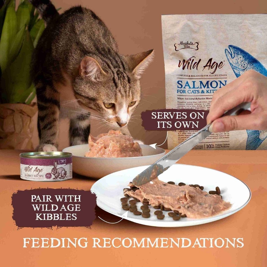 Absolute Bites Wild Age Cat 80g Complete & Balanced Diet Tuna Canned Wet Cat Food image 3