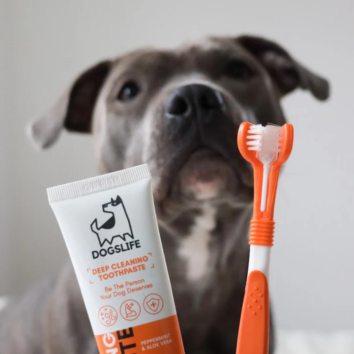 Dogslife Dental Care Kit 100g Deep Cleansing Toothpaste image 2