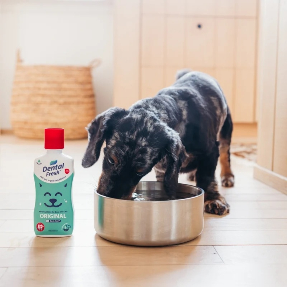 Dental Fresh Water Additive Original Formula For Dogs & Cats 17oz (503ml) image 2