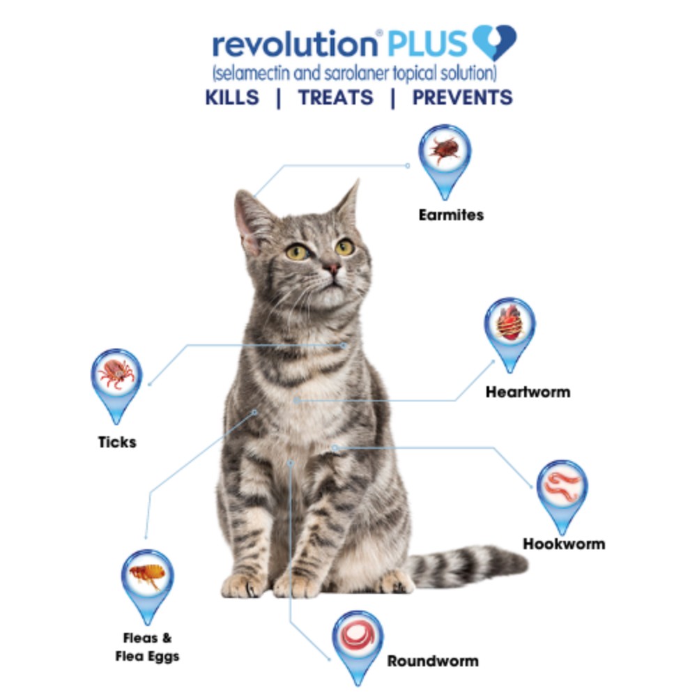 Revolution Plus Selamactin & Saraloner Topical Solution for 2.6-5kg Cat 3 Single Dose Tubes image 2