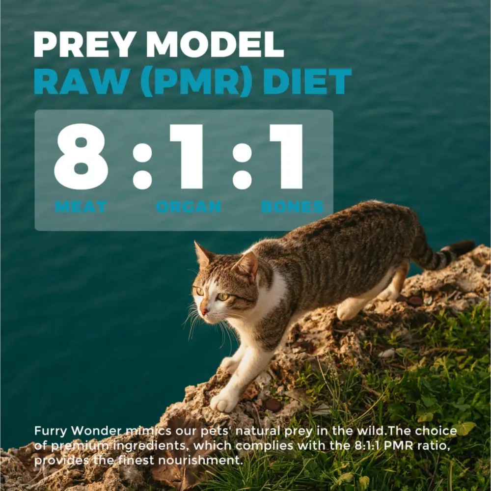 Furry Wonder SKIN & COAT VITALIZE Freeze-dried Raw Cod & Chicken Recipe For Cats 8oz (226g) image 5