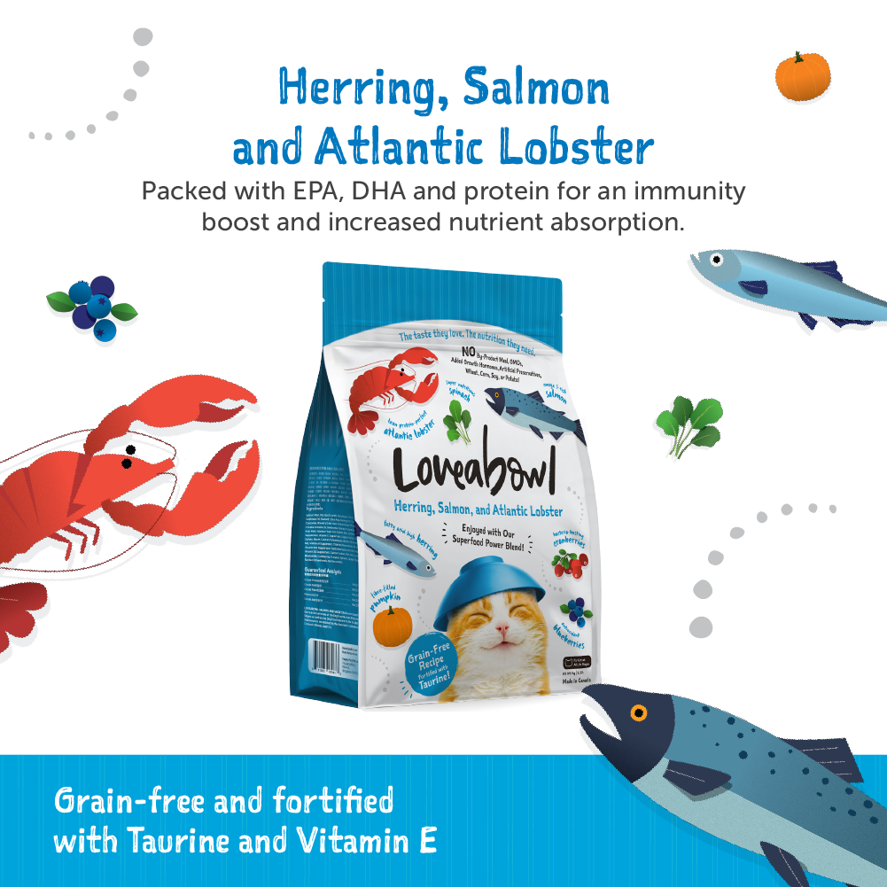 Loveabowl Cat 9.07kg Herring  Salmon and Atlantic Lobster Dry Cat Food image 2