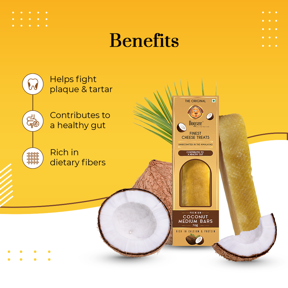 Dogsee Dental Chew Singles Medium Long-lasting Coconut 70g for Medium Dogs image 4