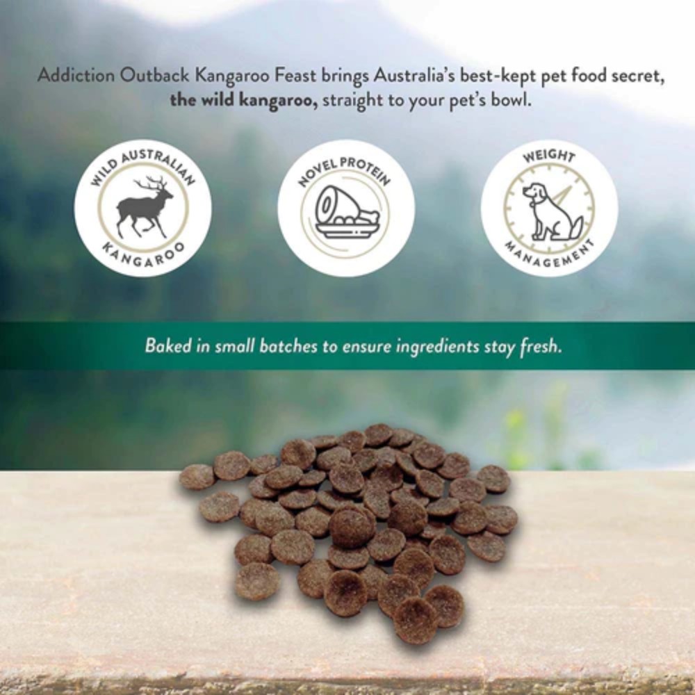 Addiction Dog 9kg Grain Free Wild Kangaroo & Apples Dry Dog Food image 2