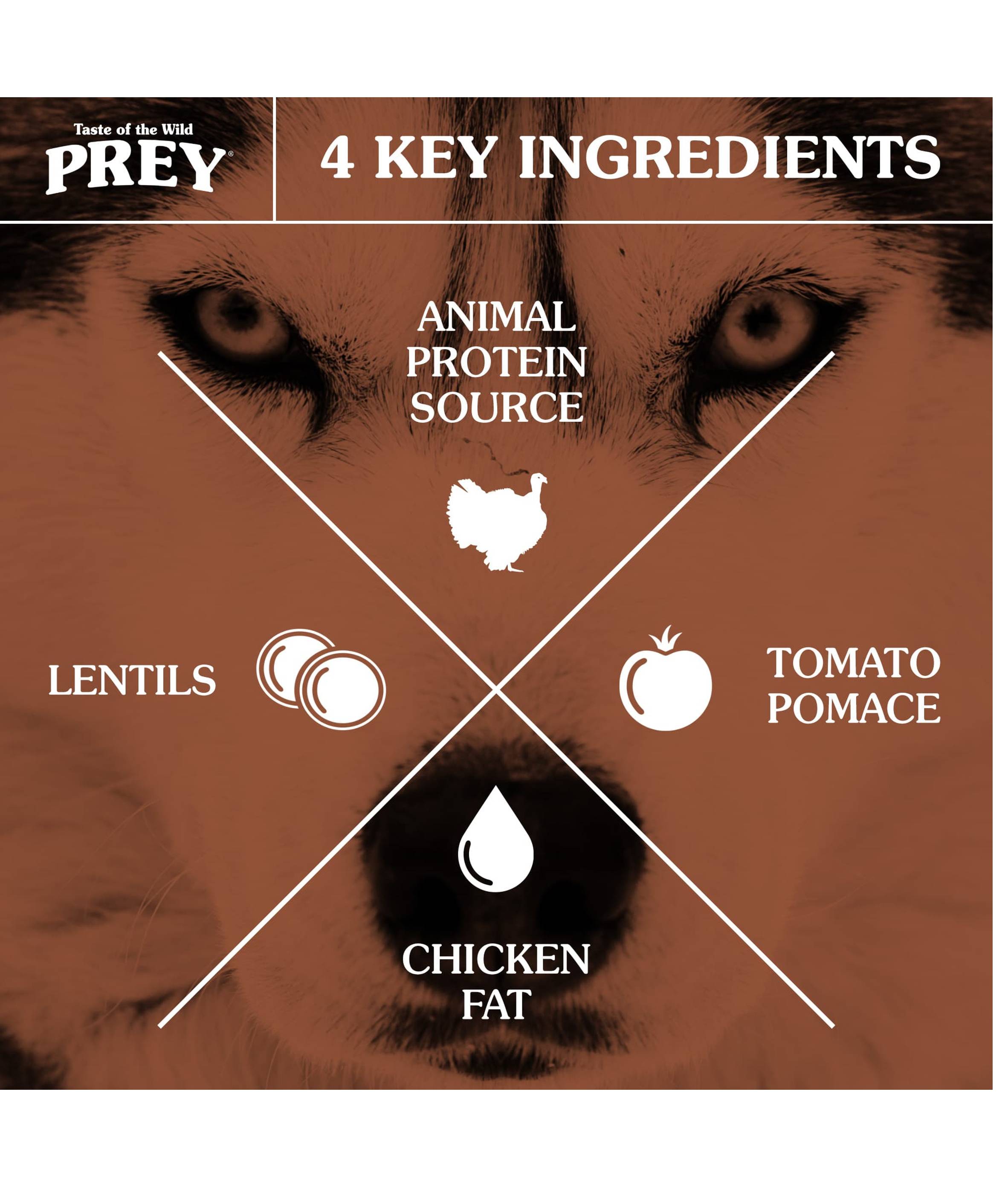 Taste of the Wild Cat 2.7kg/6lbs Prey Turkey Grain Free Dry Cat Food image 4