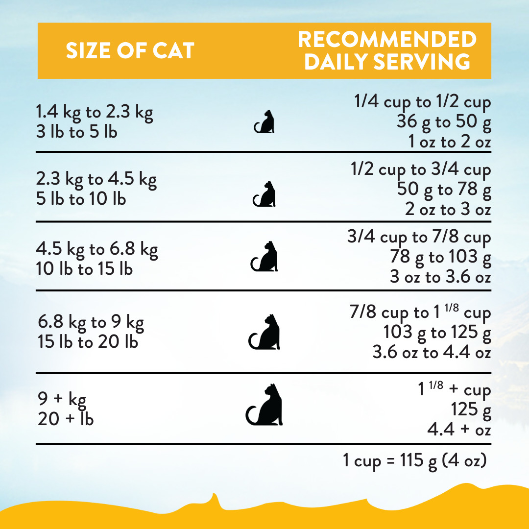 Addiction Cat 1.8kg Chicken Supreme Senior Cat Complete & Balanced, Urinary Health Dry Cat Food image 7