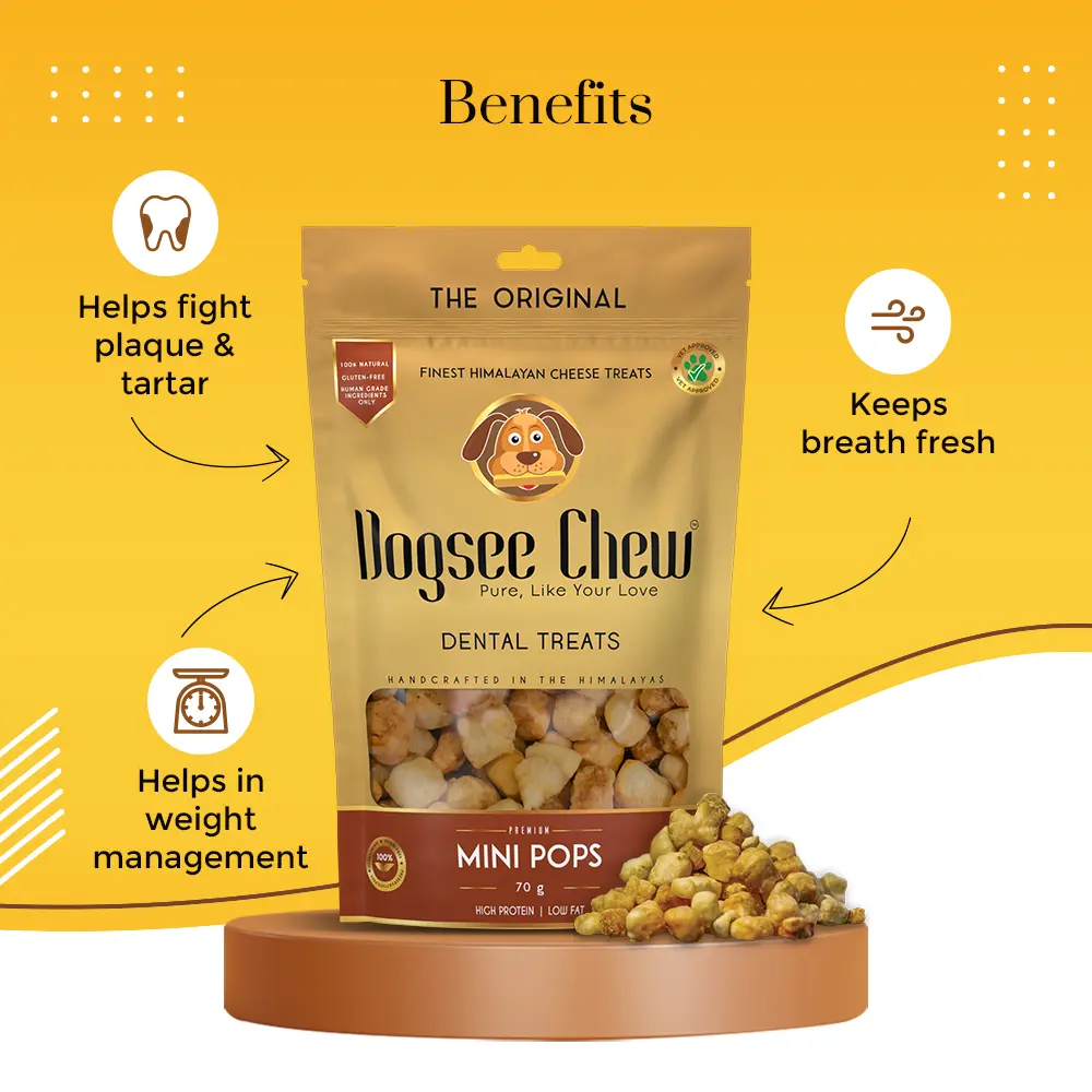Dogsee Chew Dog 70g Minipops Dog Treat image 5
