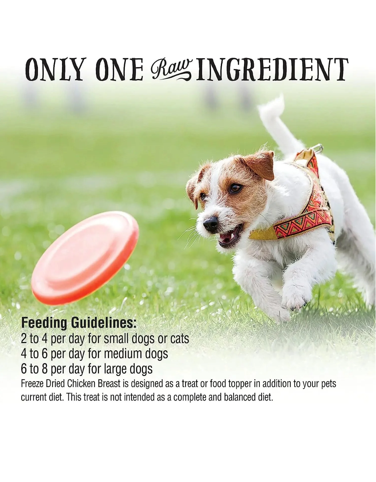 Northwest Naturals Raw Rewards 19oz Freeze Dried Chicken Breast Treats for Dogs & Cats image 6