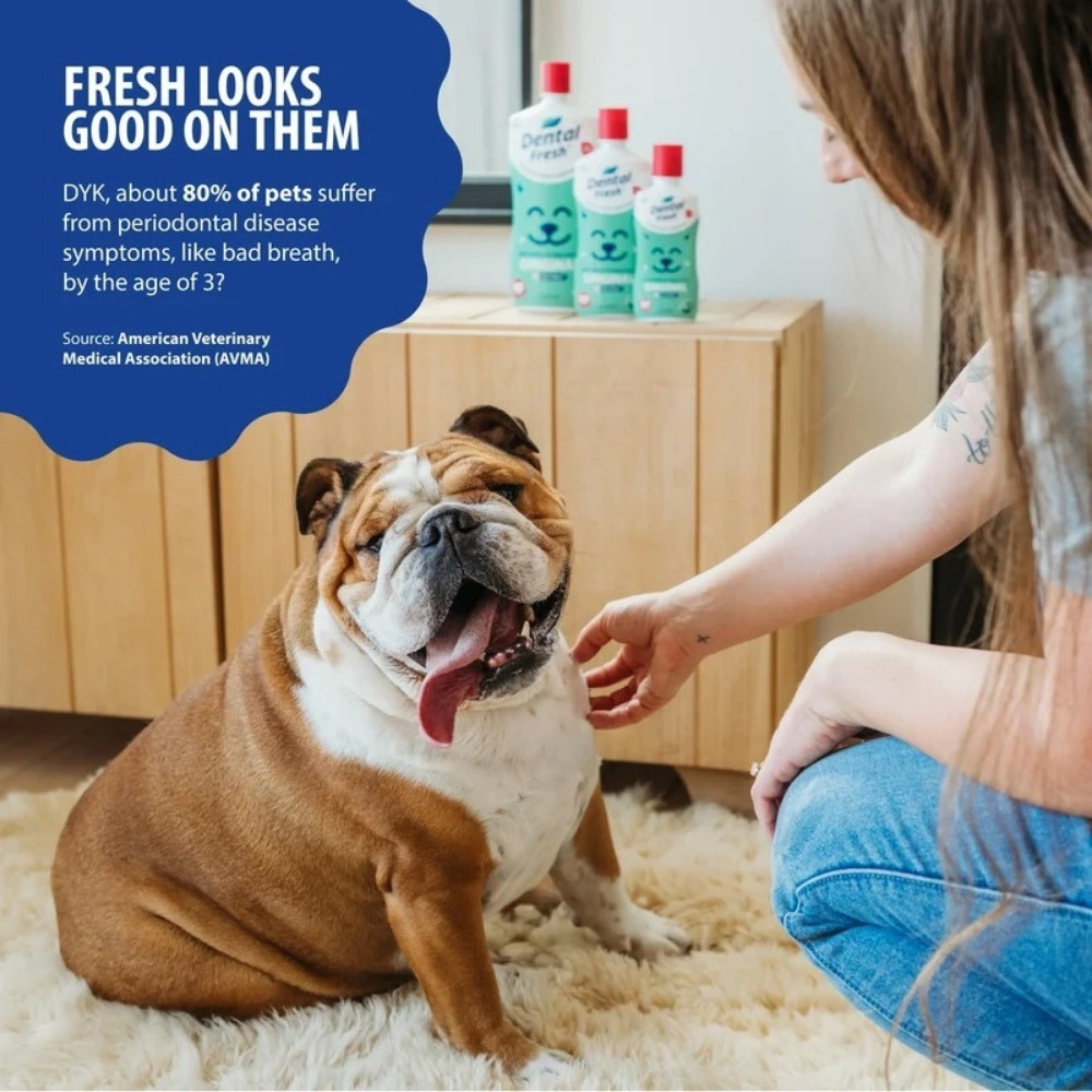 Dental Fresh Water Additive Original Formula For Dogs & Cats 17oz (503ml) image 6
