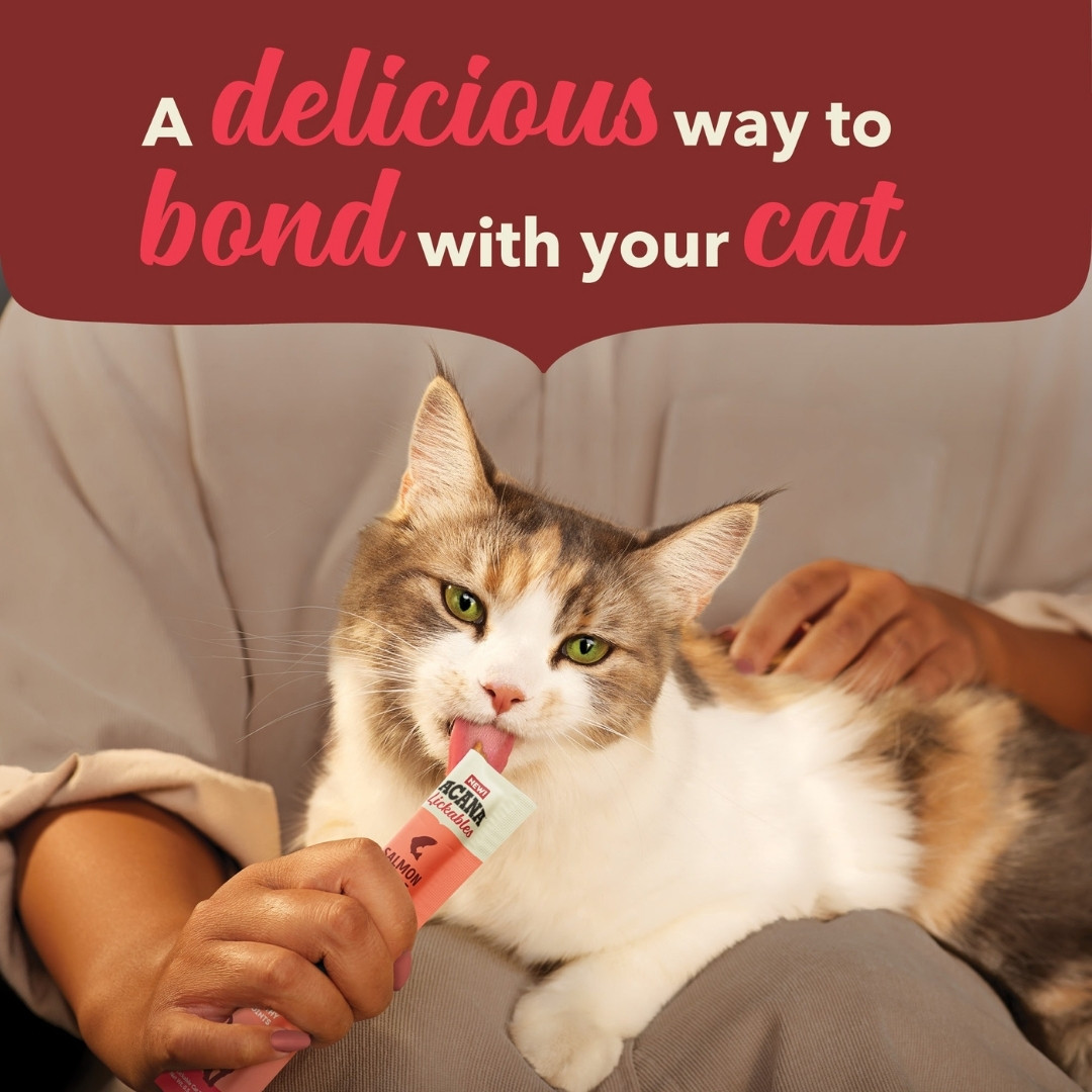 Acana Cat 14gx5 Lickables Salmon Cat Treat image 2
