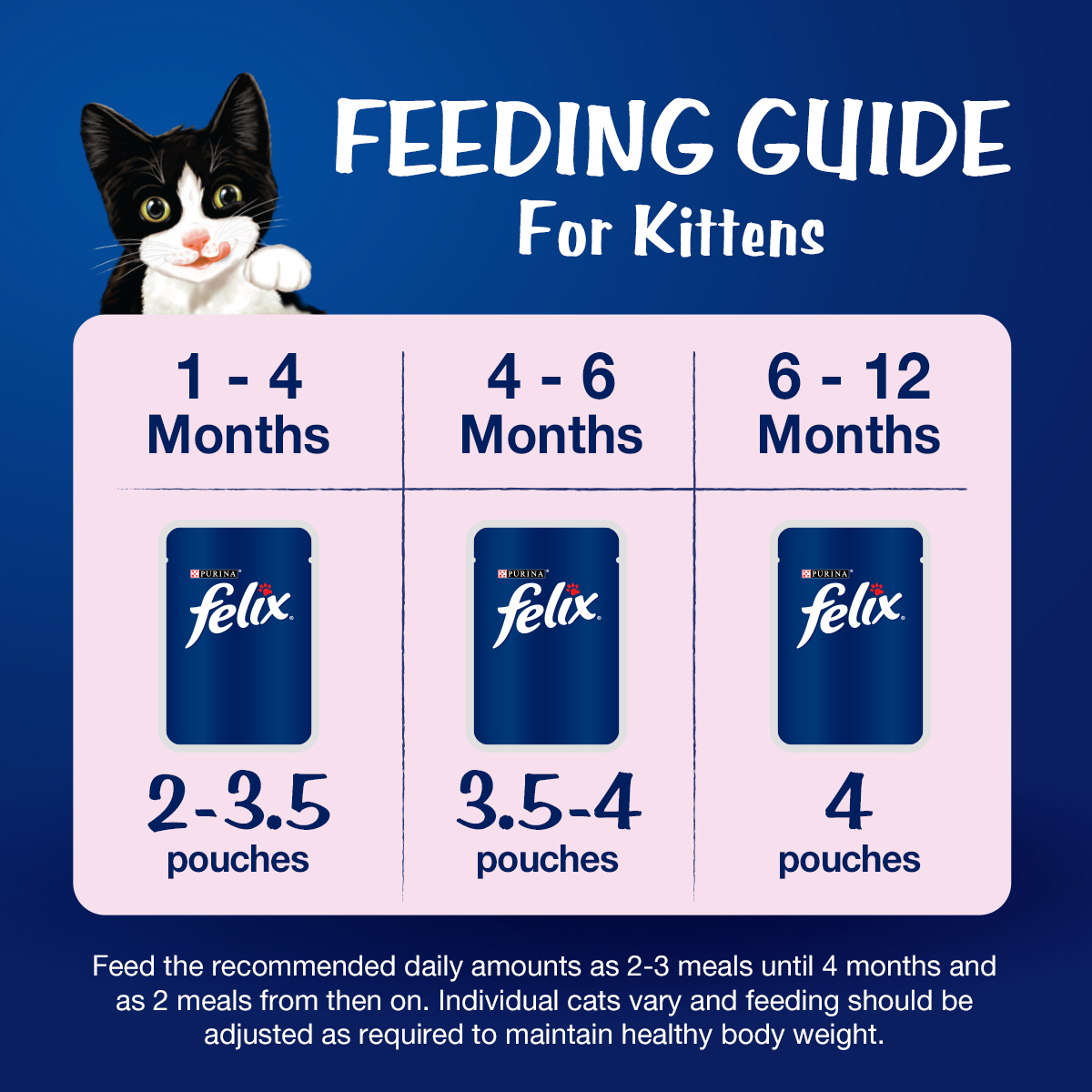 Felix Cat 85g Kitten Tuna in Jelly Pouch Wet Cat Food image 6