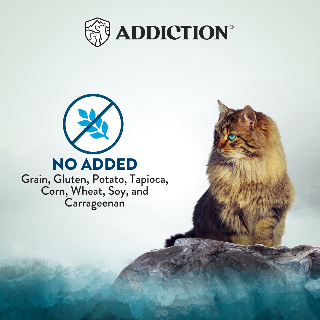 Addiction Cat Wild Islands 185g Pacific Catch Grain Free Wet Canned Cat Food image 4