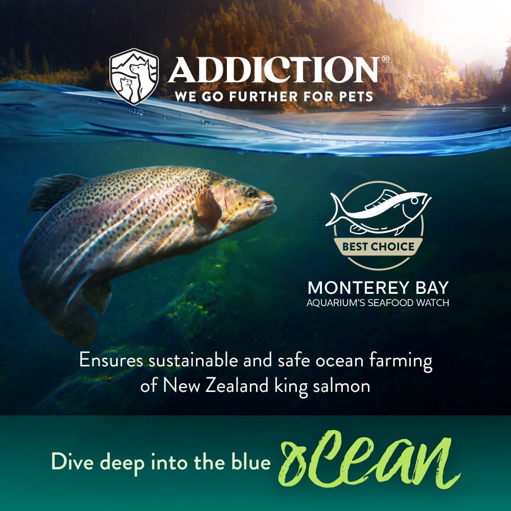 Addiction Dog 9kg Grain Free Salmon Bleu Dry Dog Food image 5