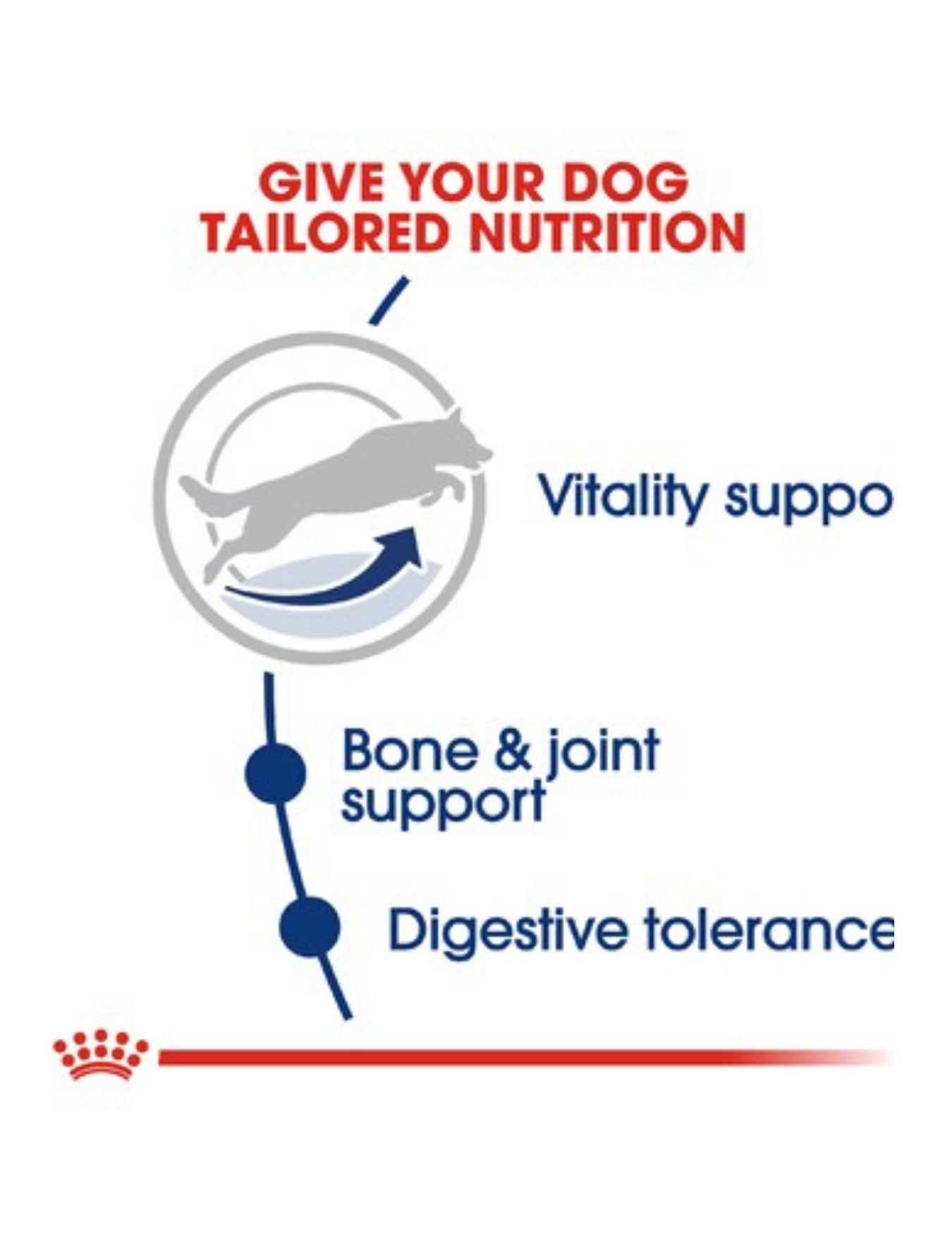 Royal Canin Dog 15kg Maxi Adult 5+ Dry Dog Food image 4