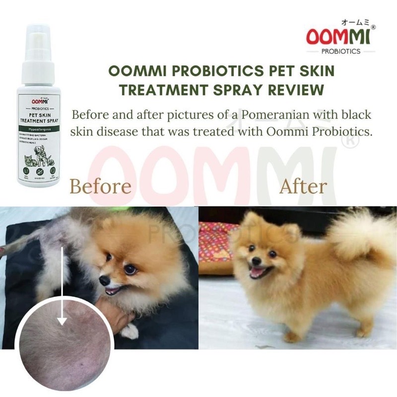 OOMMI 60ml Probiotics Pet Skin Treatment Spray image 6