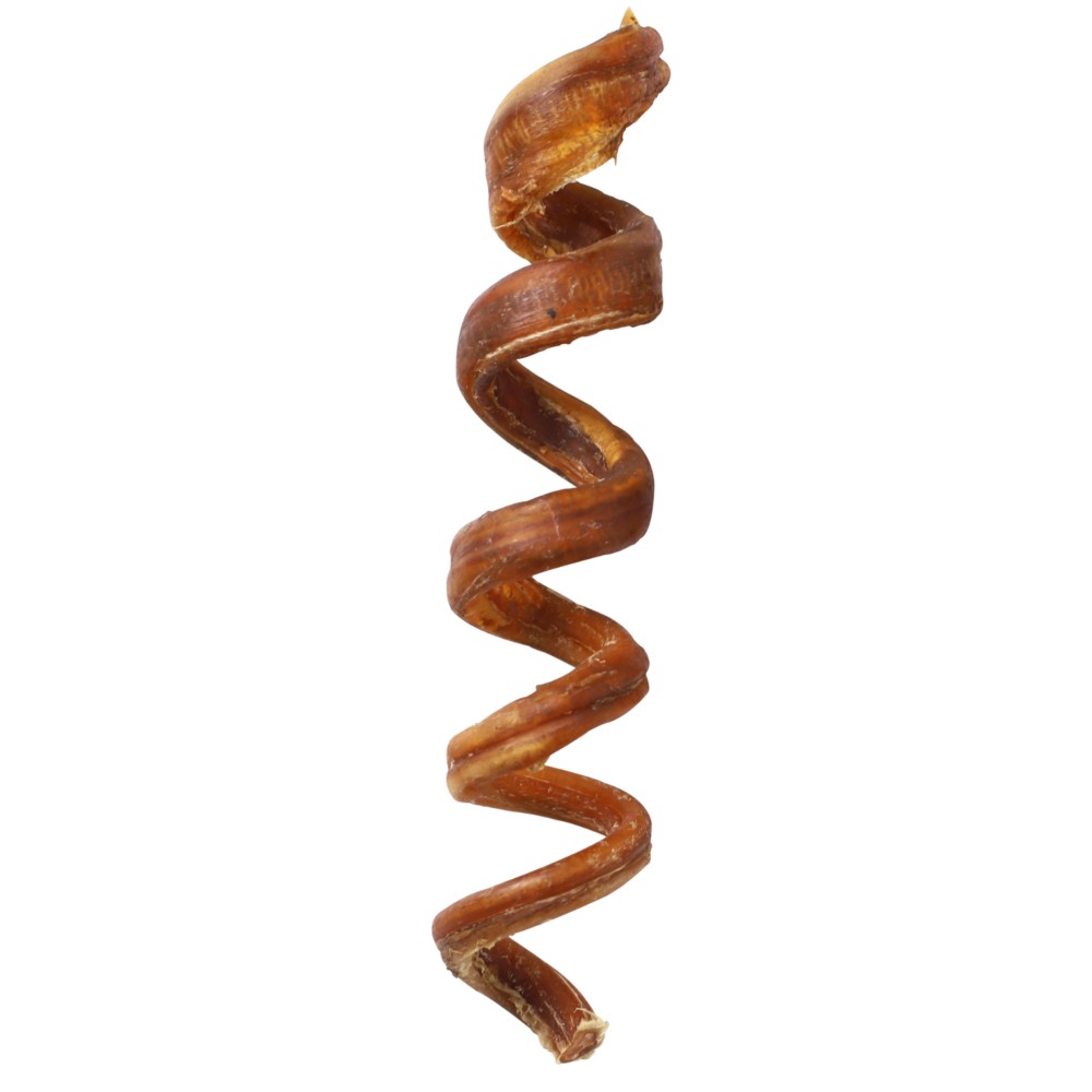 Absolute Bites Dog 1pc Curly Bully Sticks (Maxi) Dog Treat image 2