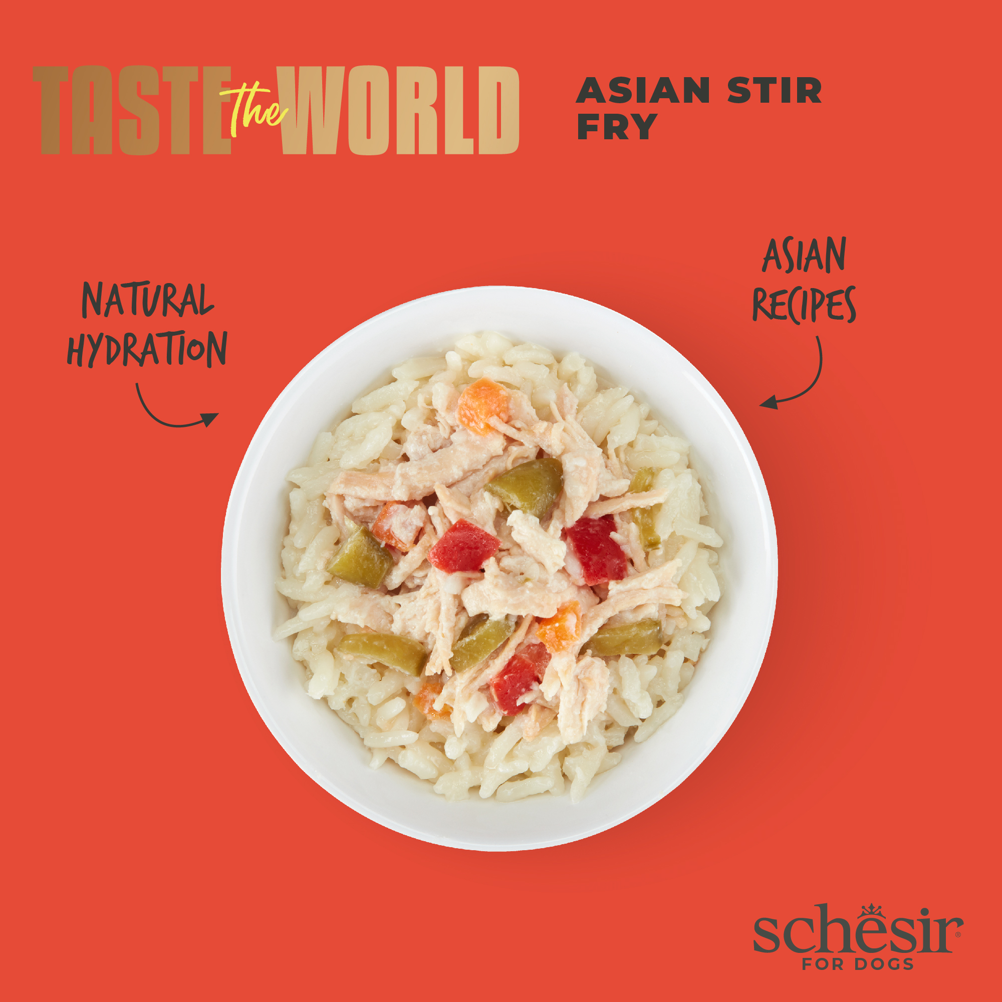 Schesir Dog Taste the World Canned 150g Asian Stir Fry in Broth Wet Dog Food image 3