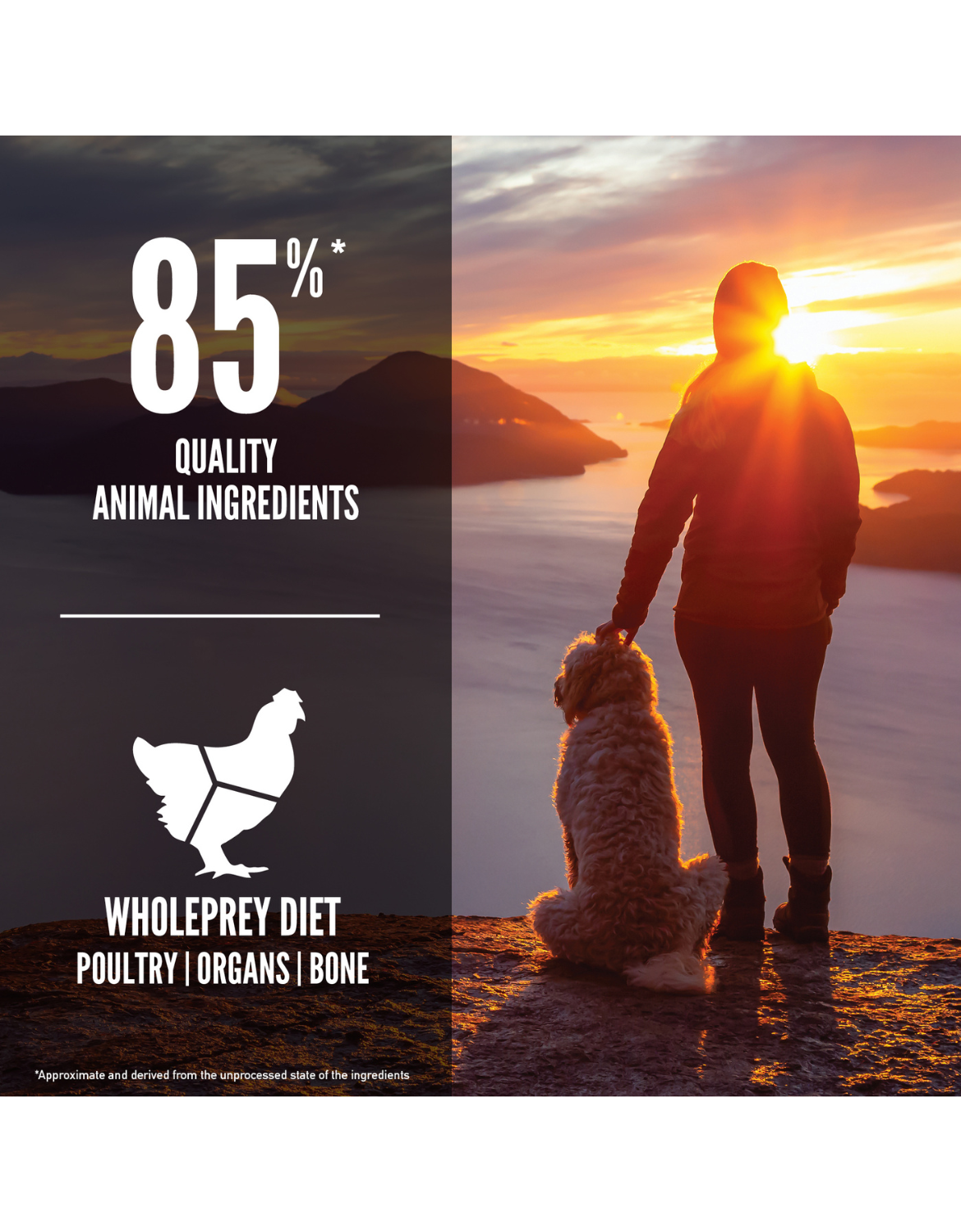 Orijen Dog 11.4kg Senior Dry Dog Food image 3