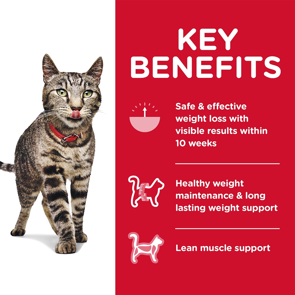 Hill's Science Diet Feline Adult Perfect Weight 6.8kg Dry Cat Food image 3