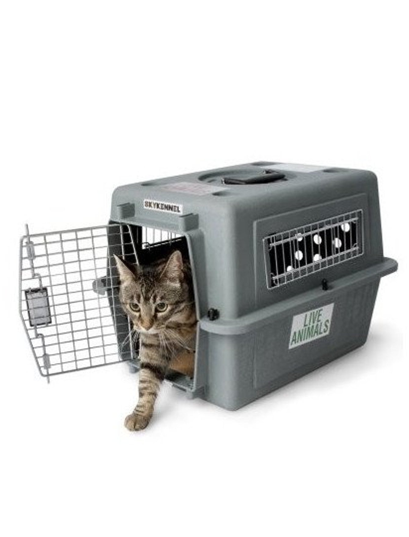 Petmate Sky Kennel Small for Pets image 4