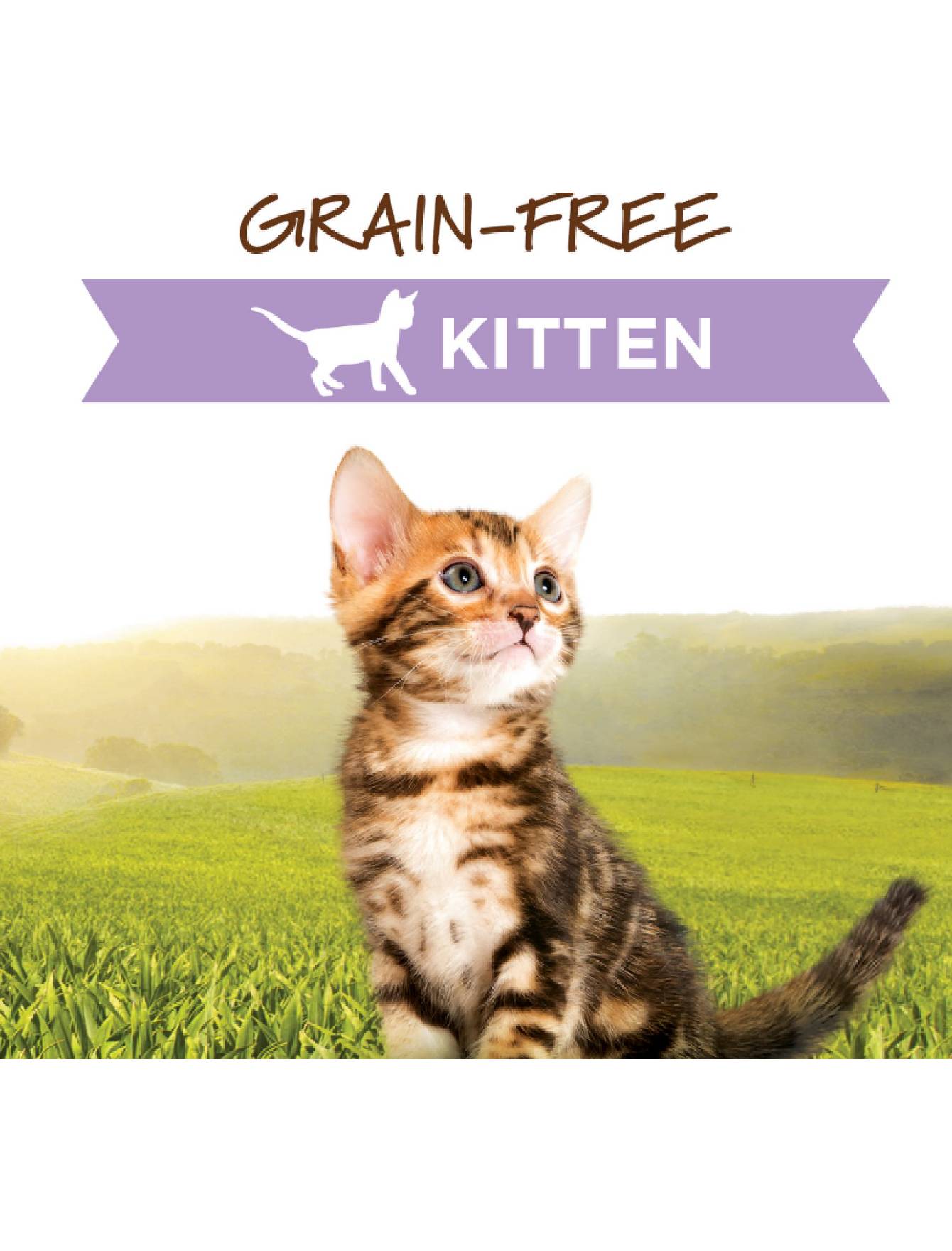Instinct Cat Original Grain Free Pate 5.5oz Real Chicken Recipe for Kitten Wet Cat Food (EXP: 10 Jul 2027) image 2