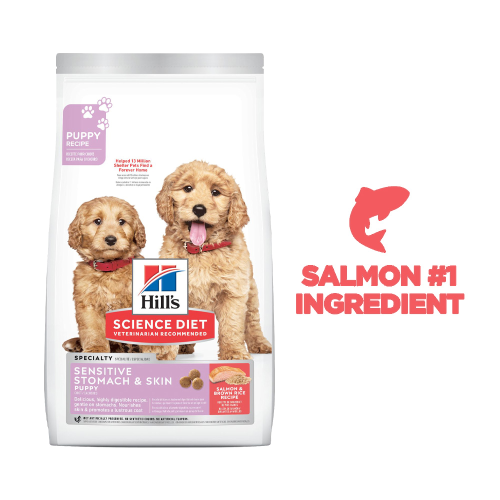 Hill's Science Diet Canine Puppy Sensitive Stomach & Skin Salmon & Brown Rice Recipe 2kg Dry Dog Food image 7