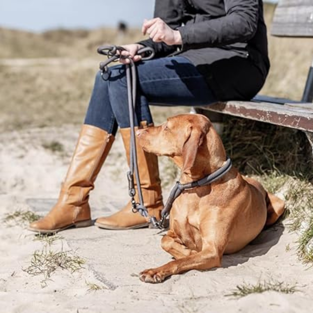 Trixie BE NORDIC Adjustable Leash for Dogs Dark Grey/Brown L–XL: 2.00 m/ø 13 mm image 5